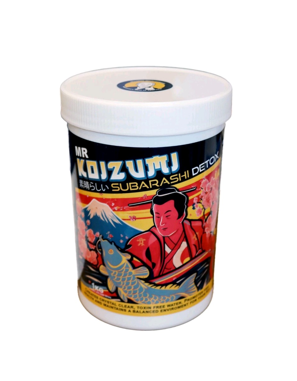Mr Koizumi Subarashi Detox 1kg