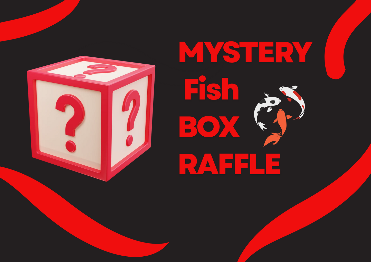 Raffle - Mystery Koi Box 🎁