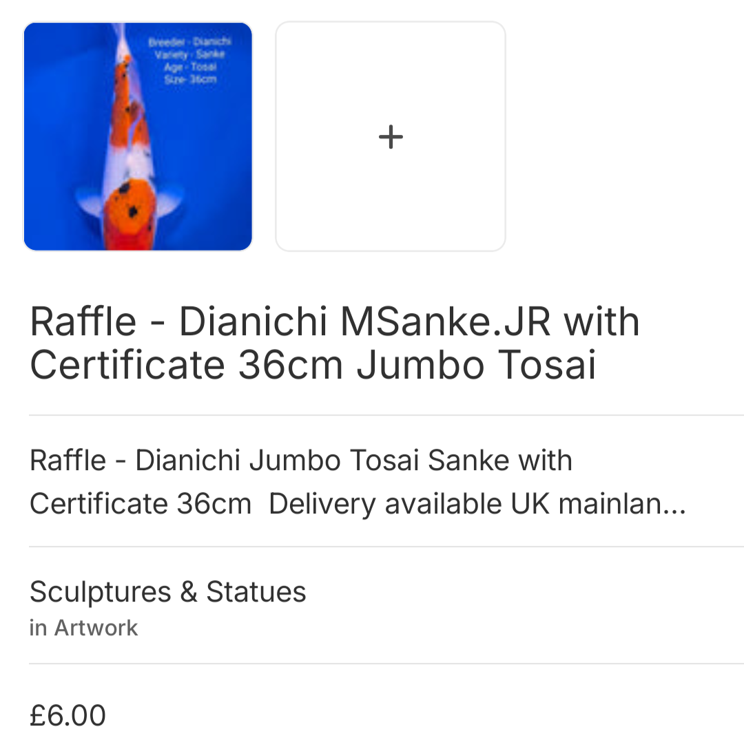 Raffle - Mini Raffle for 25 tickets on main MSanke JR draw