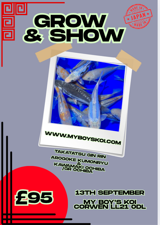 Grow & Show 13th September