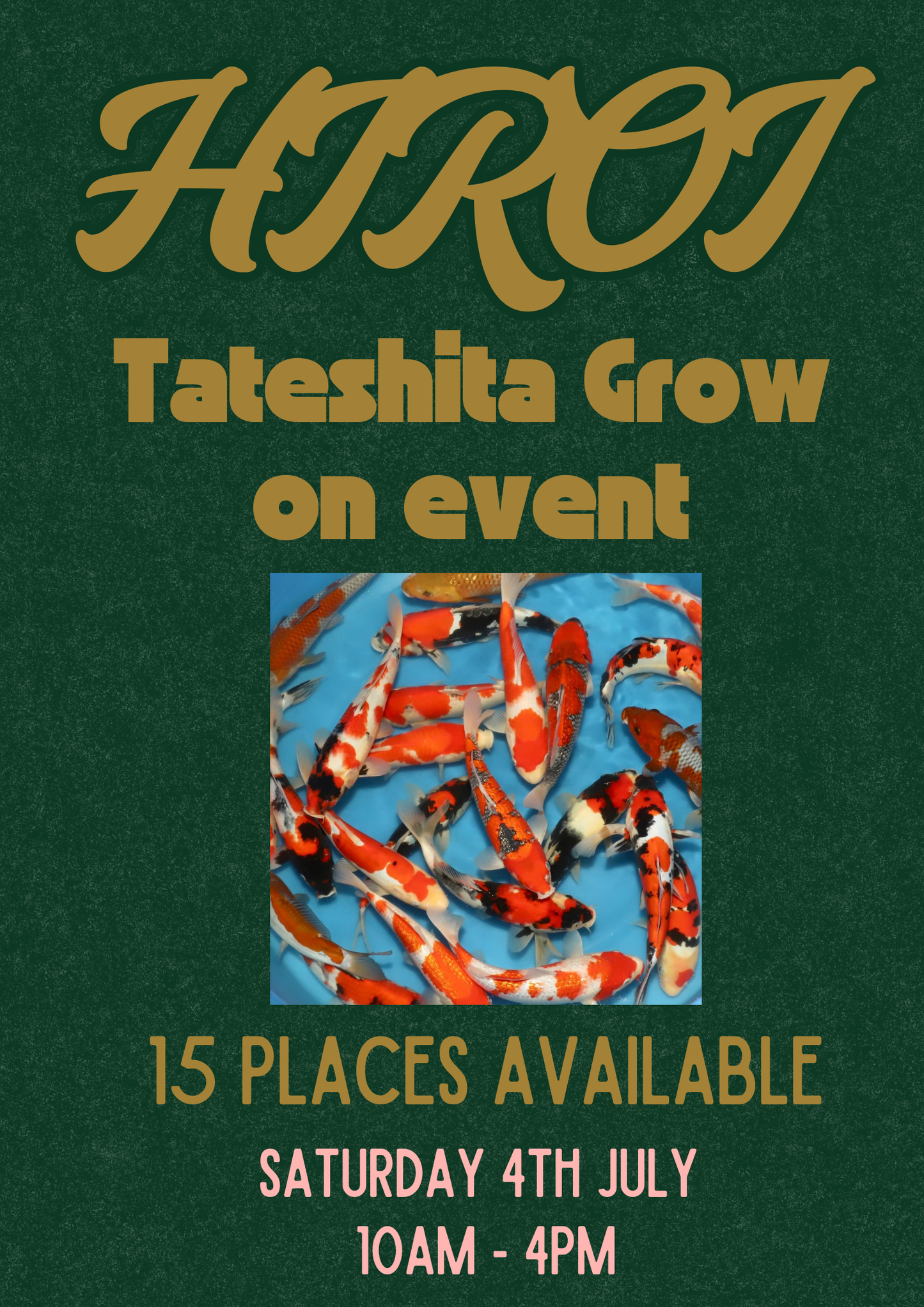 Hiroi Grow on event 25-30cm    High quality Jumbo Tosai