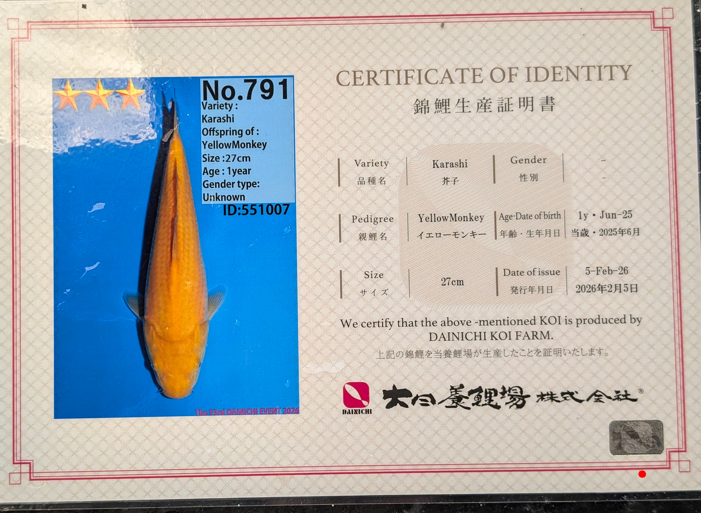 Raffle - Dianichi Yellow monkey with Certificate