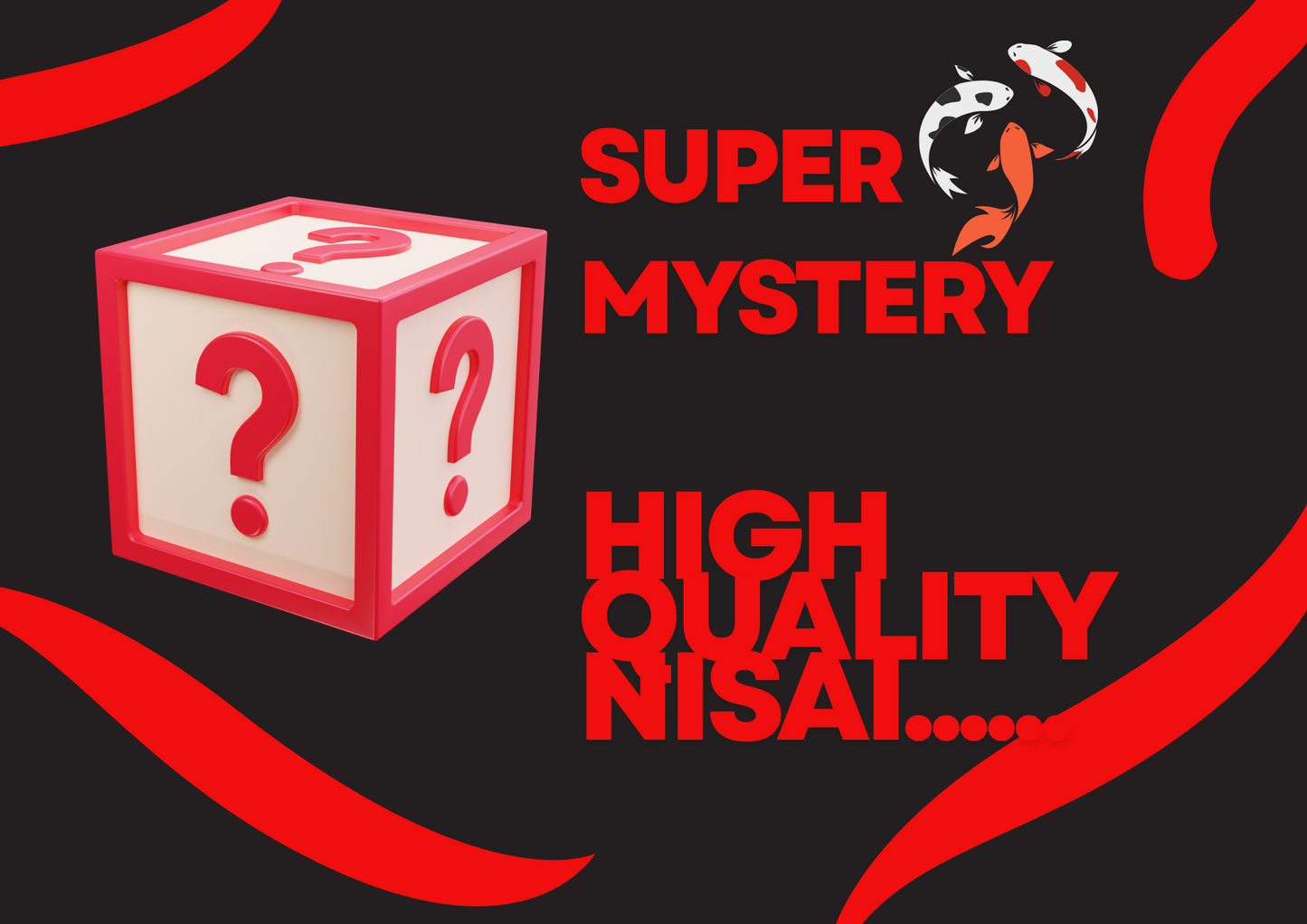 Raffle - Super Mystery HQ Nisai